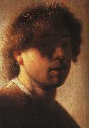 REMBRANDT Harmenszoon van Rijn Self-Portrait sh Sweden oil painting reproduction